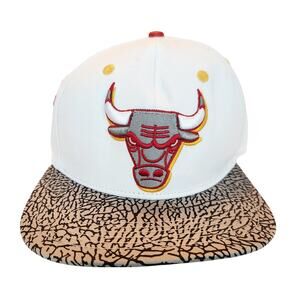 NBA Chicago Bulls Pro Standard 2-tone Special Script‎ Laney 6-Time Champion